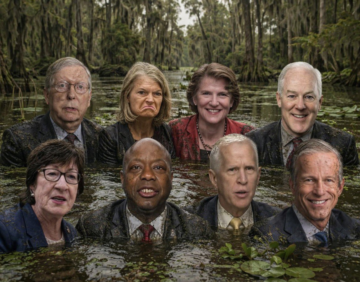 Star S.⭐️⭐️⭐️⭐️⭐️ tweet media