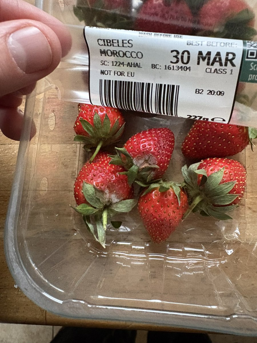 Liam Jackson tweet media