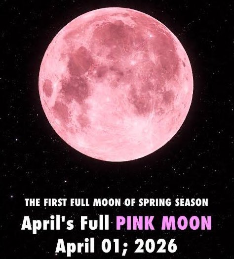 ssi 🫧 | ENHYPEN IS 7 tweet media