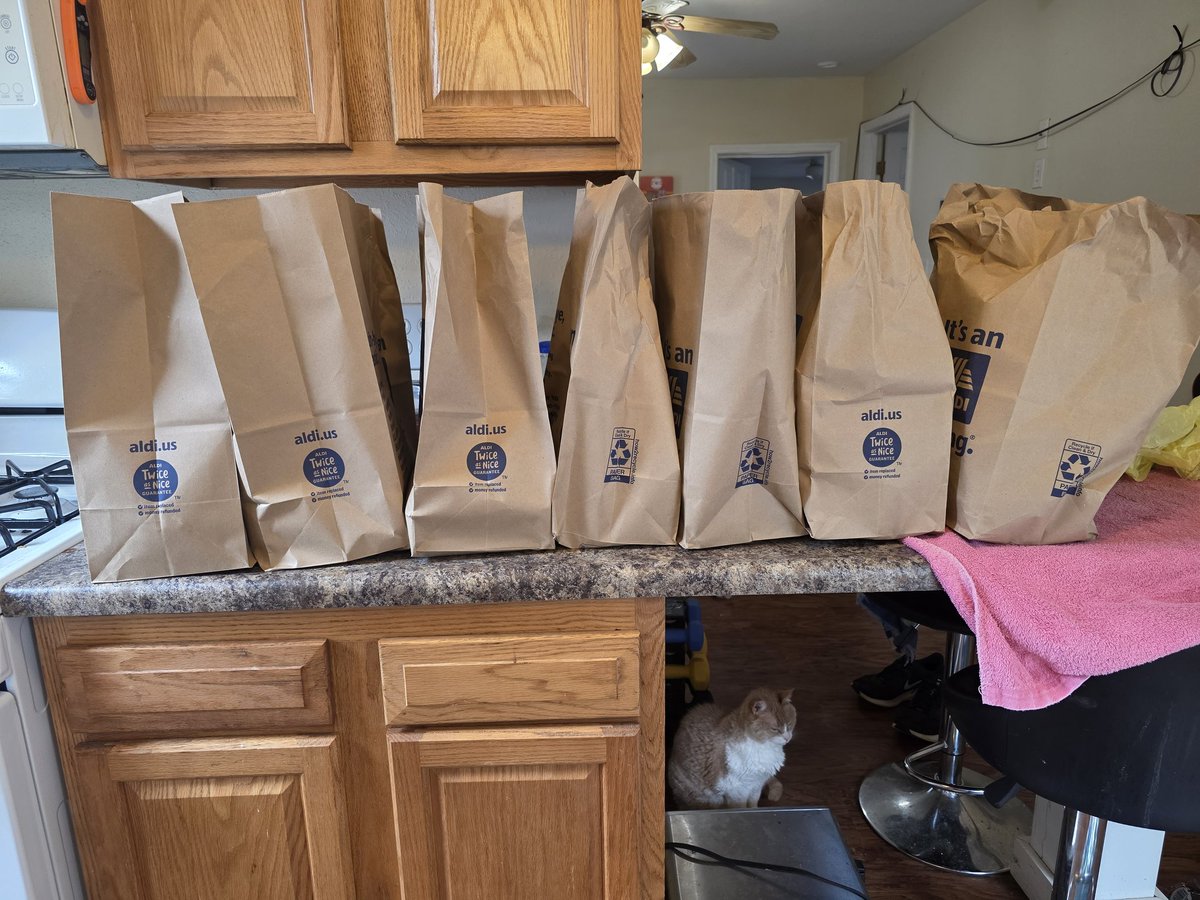 RecklessViper tweet media