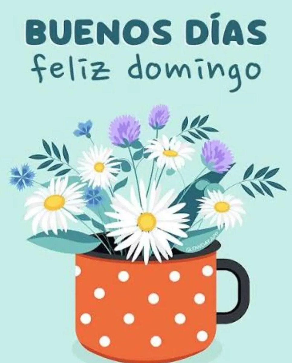 Aurora 🅰️🪷 tweet media