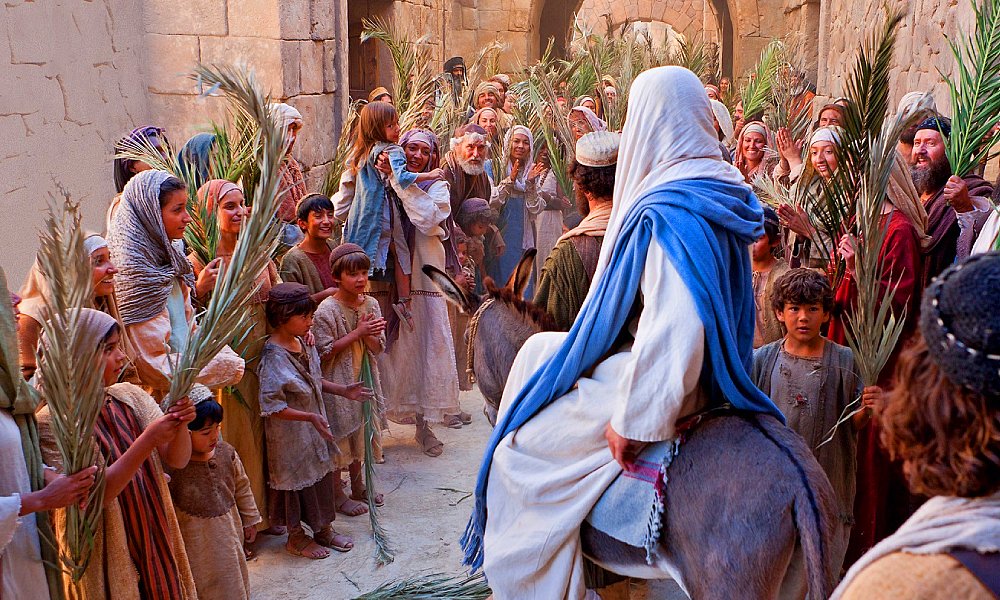 El Periódico MX tweet media