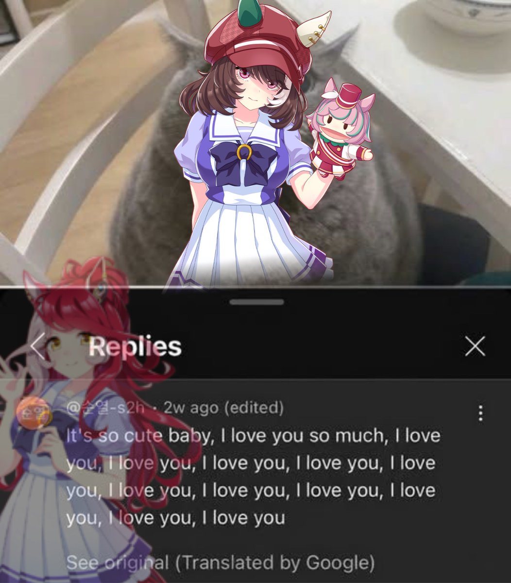 hafsa ´ཀ` tweet media