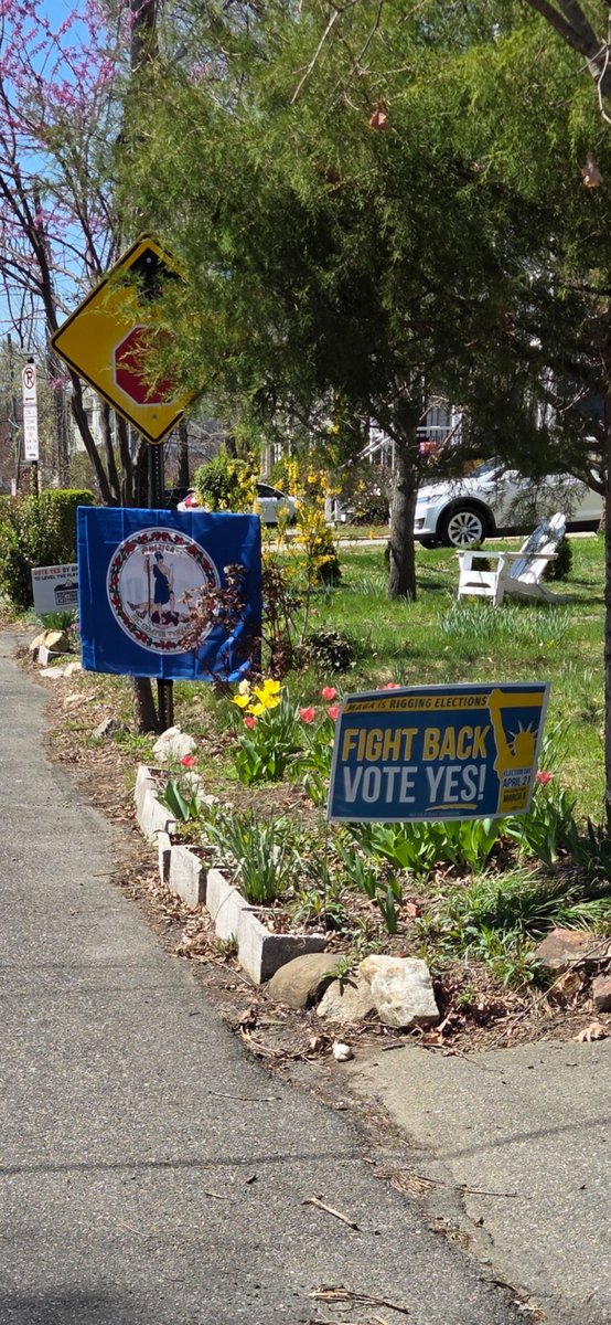 Blue Virginia tweet media