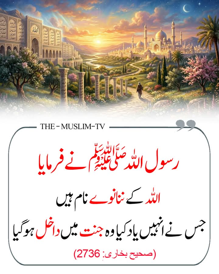 Mahwish Zafar tweet media