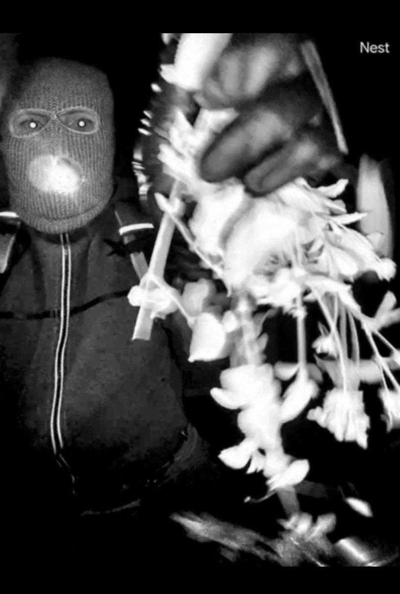 Adriienne F tweet media