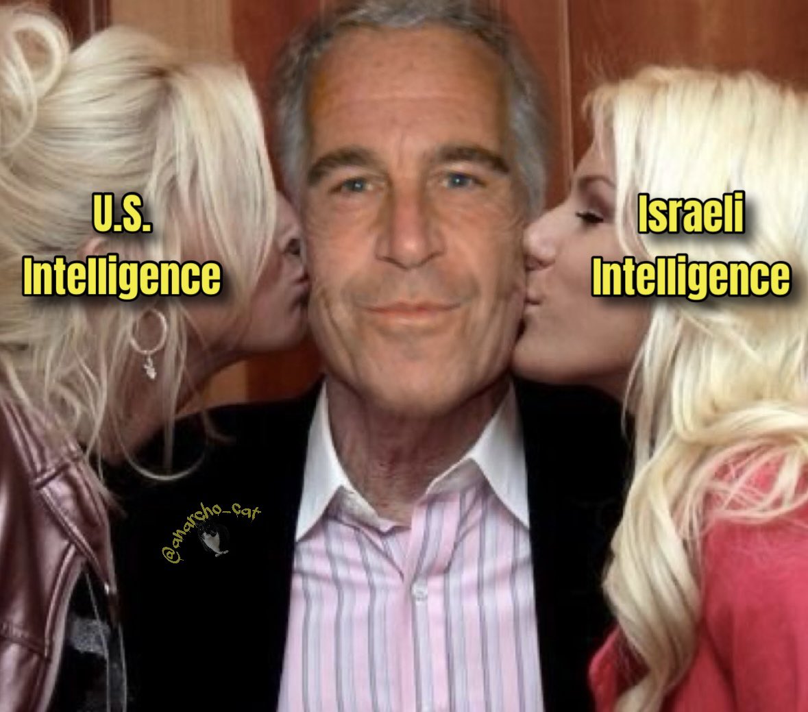 John (Anarcho Cat) tweet media