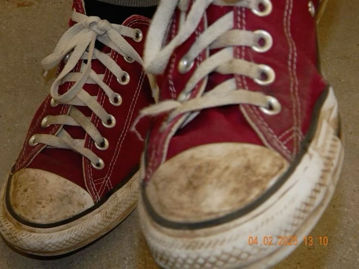 liz | sirius version ⚢ 🪼 tweet media