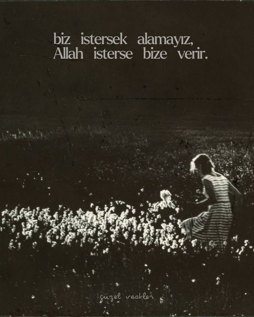 bişnev tweet media