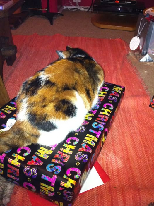 Hobeck Books tweet media