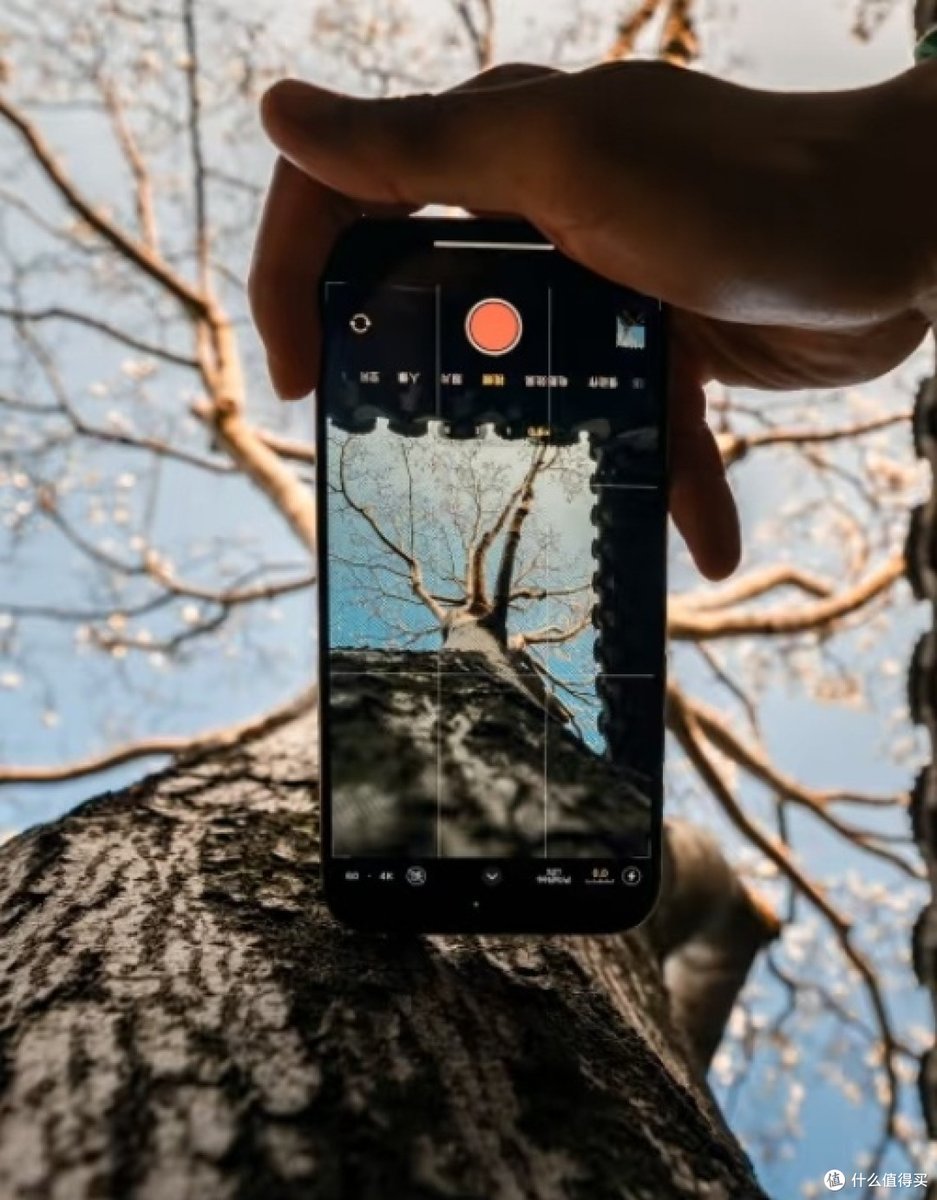 Edwin Perez tweet media