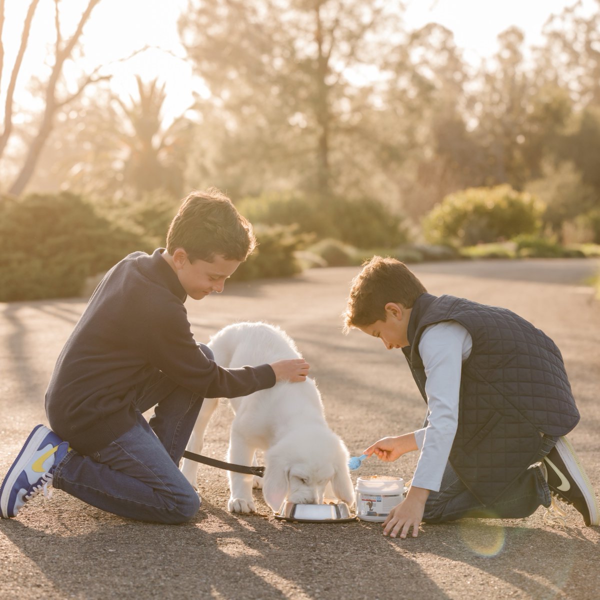 platinumperf's tweet photo. Your Dog 🤝 Quality Nutrition https://t.co/E4lQnvBCP6