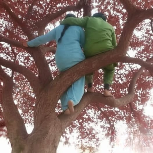 Chakib meknes⭐⭐ tweet media