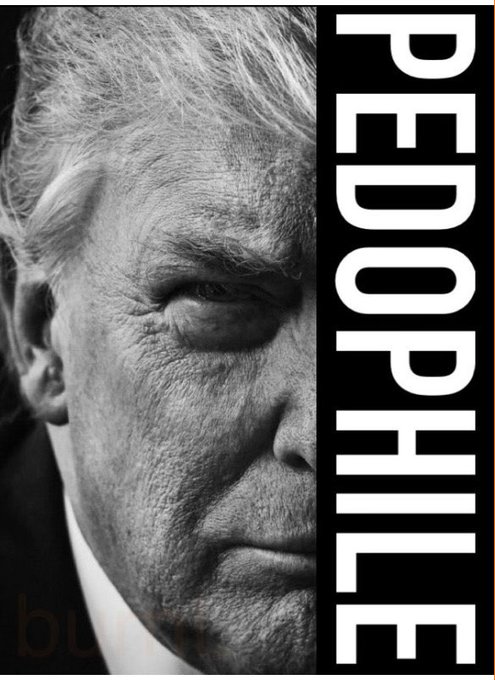 BeagleMama🐕 tweet media