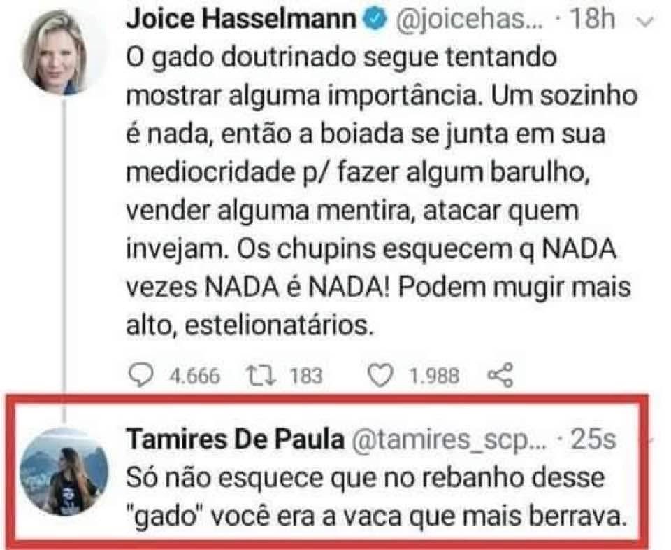 🌻🇧🇷🇺🇸Lilly Alves -F2️⃣2️⃣ tweet media