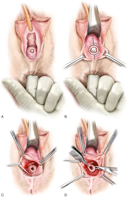 Dr. Ose Etiobhio tweet media