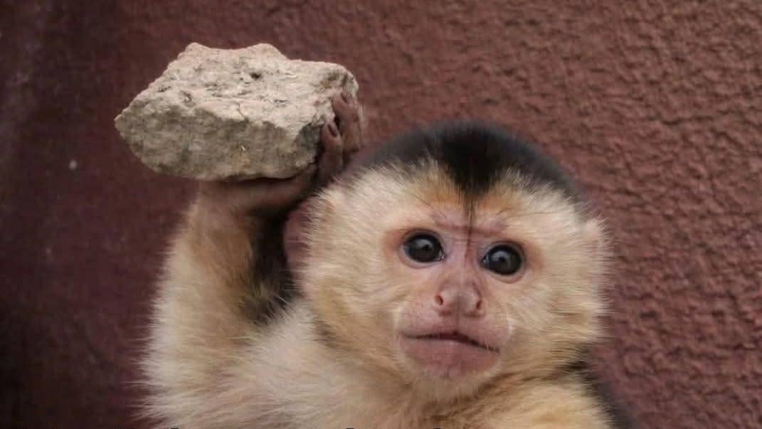 2twos🙃 tweet media