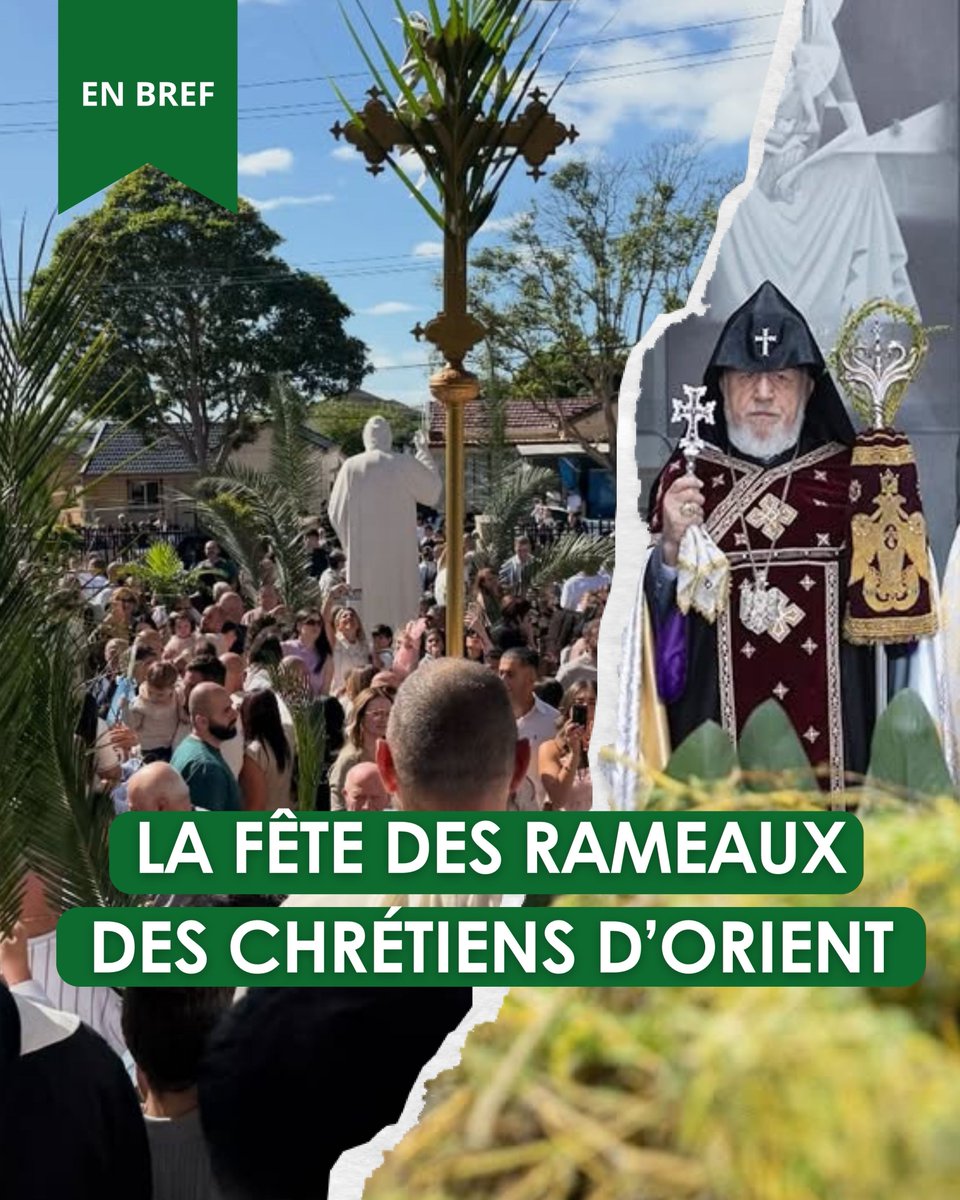 SOS Chrétiens d'Orient tweet media