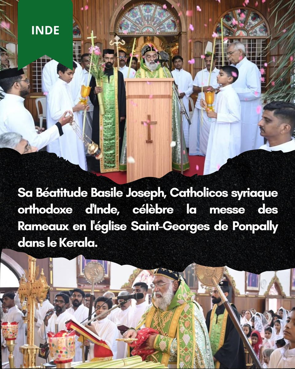 SOS Chrétiens d'Orient tweet media