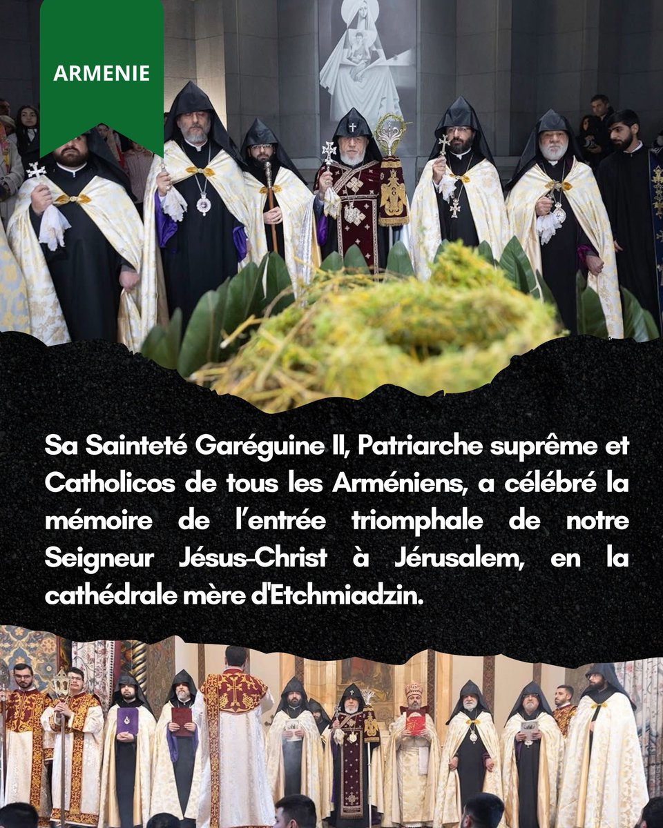 SOS Chrétiens d'Orient tweet media