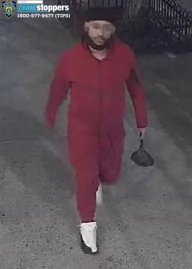 Breanna Morello tweet media