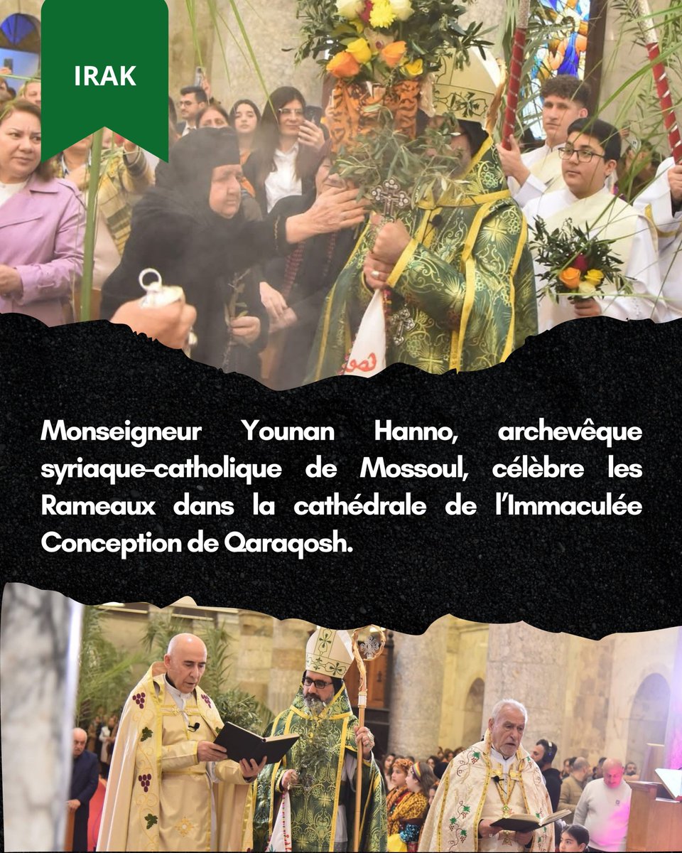 SOS Chrétiens d'Orient tweet media