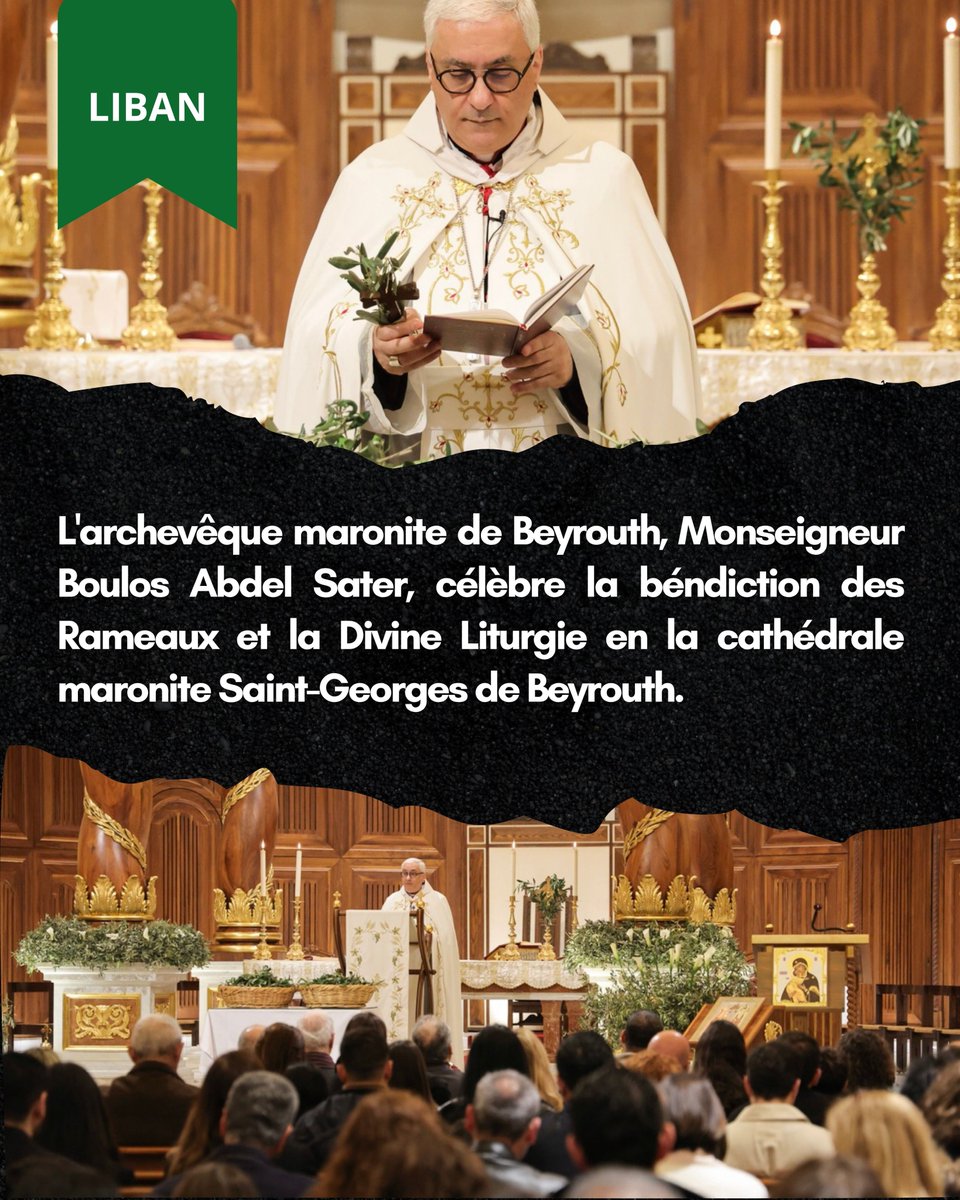 SOS Chrétiens d'Orient tweet media