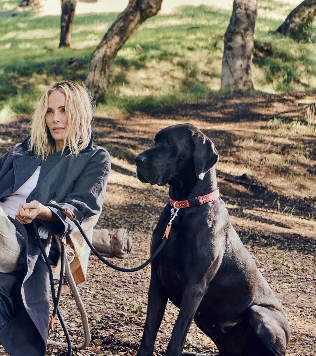 charlize theron tweet media