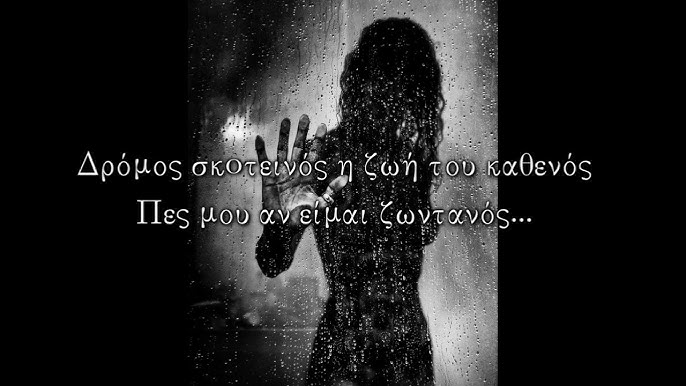 Tonia Mach tweet media