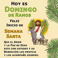 🥋🥇 tweet media