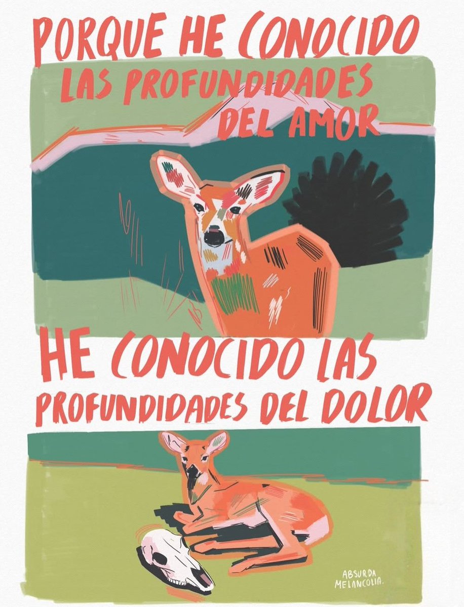 Absurda Melancolía tweet media