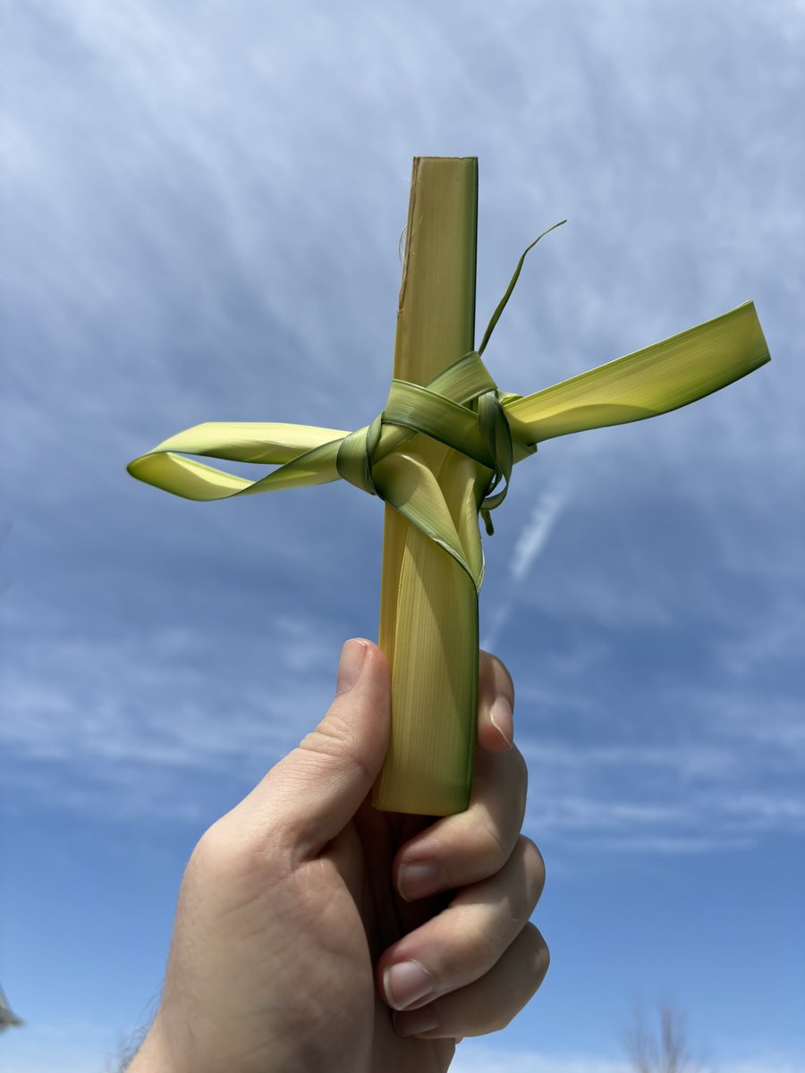 🌿 Hosanna! Blessed is He who comes in the name of the Lord ✝️