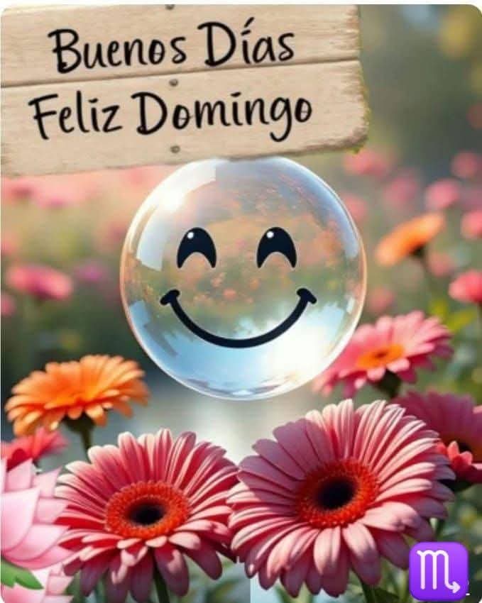 🥋🥇 tweet media