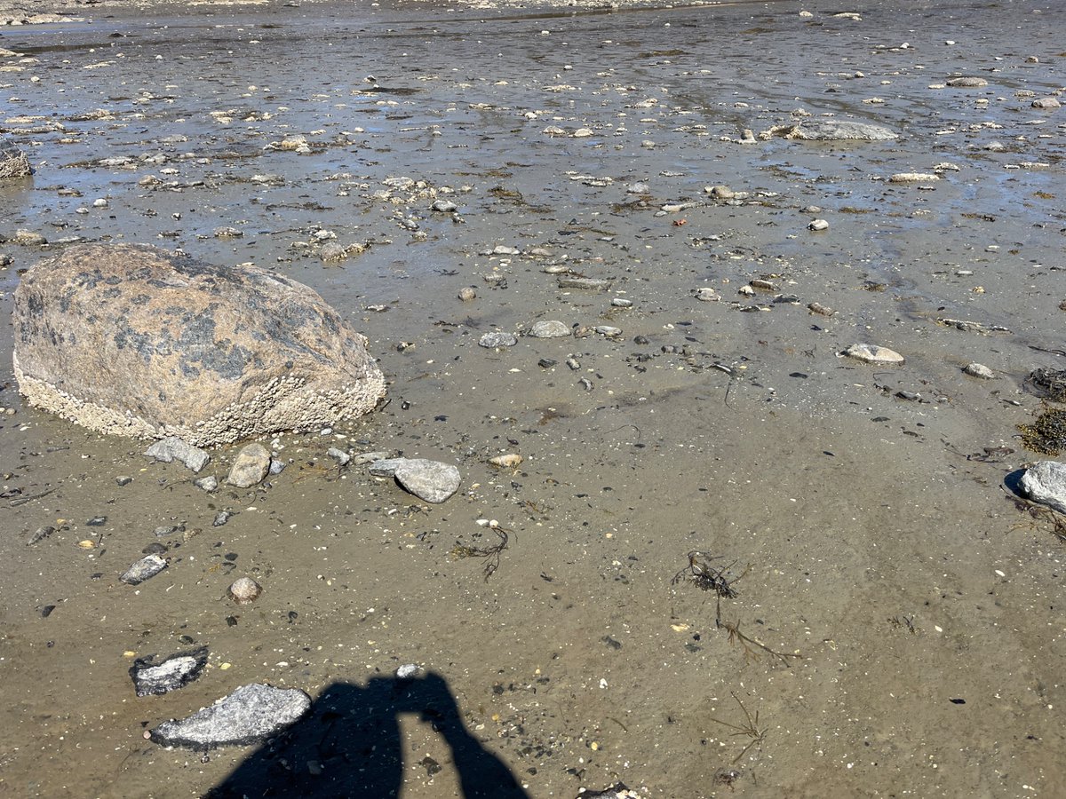 Macaulay Trollkin 🦞 tweet media