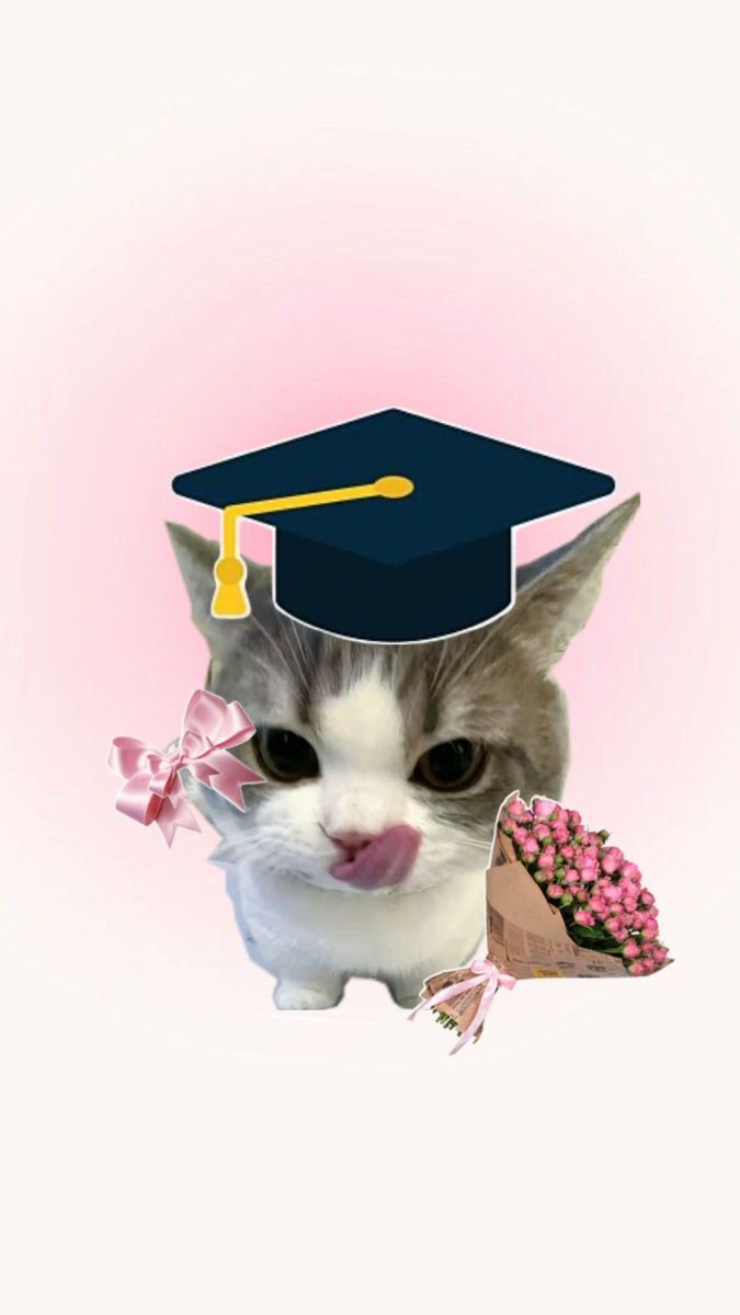 raa 🥨 tweet media