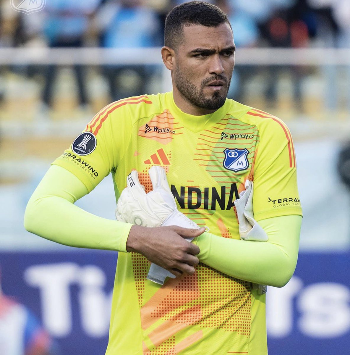 Gean Carlo Magri tweet media