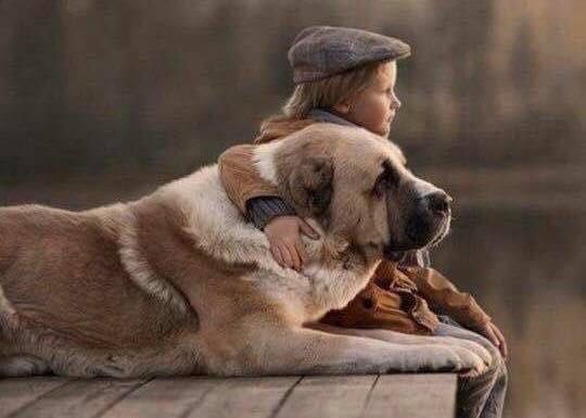 Franz Branntwein™ 🍀 tweet media