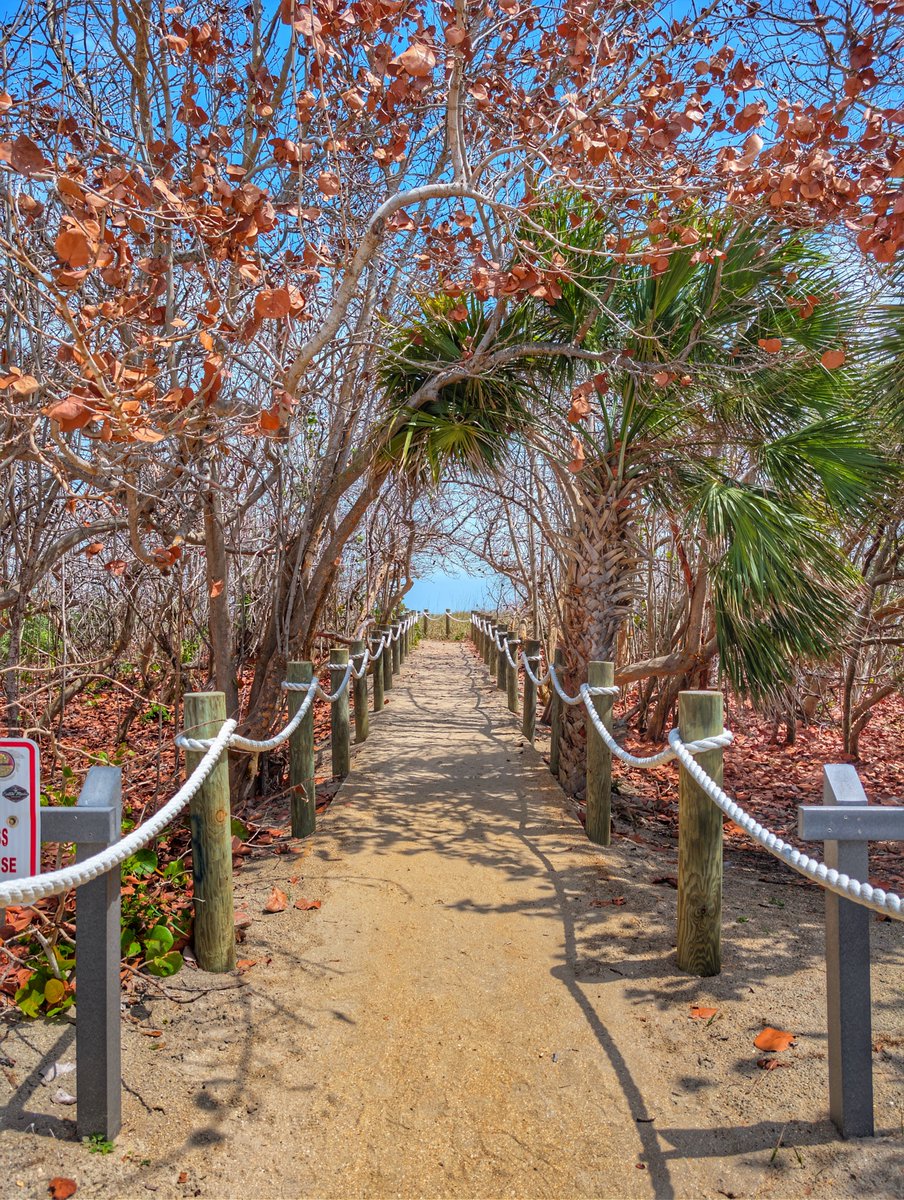 Gheylien tweet media