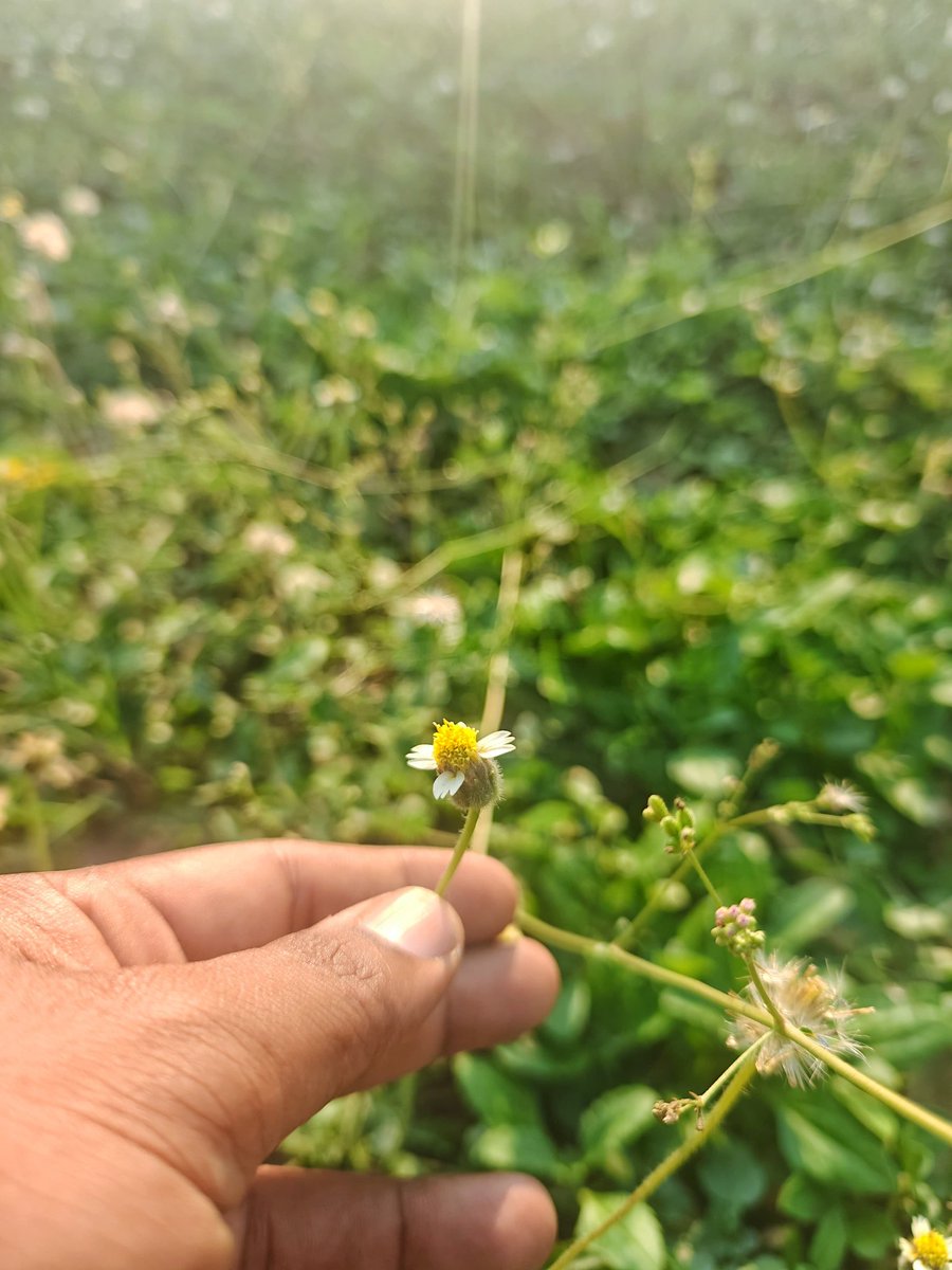 BNBpizza tweet media