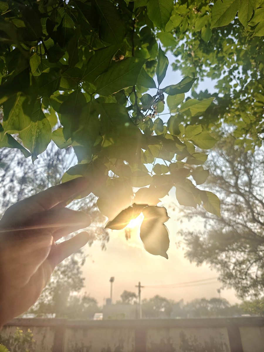 BNBpizza tweet media