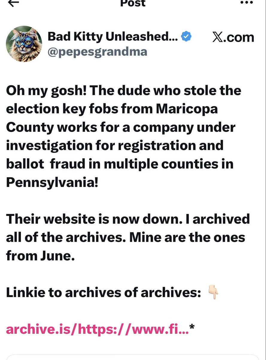 Bad Kitty Unleashed 🦁 💪🏻 tweet media