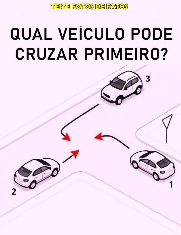 Fotos de Fatos tweet media