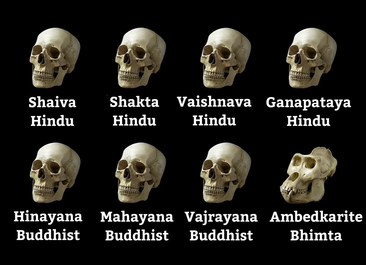 Deminán tweet media