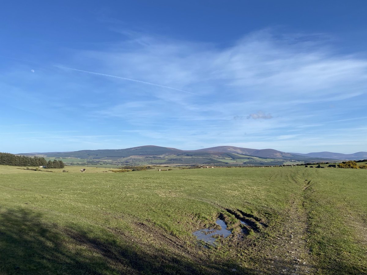 Dominic Price tweet media