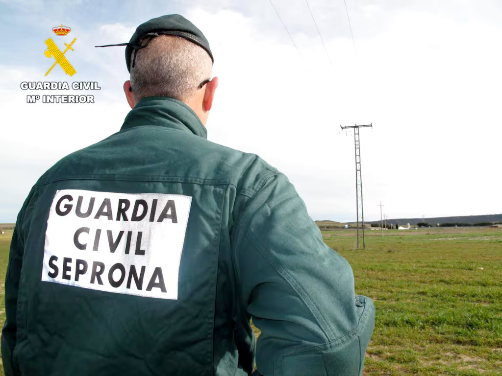 Alerta Zeta | Sucesos 🇪🇸 tweet media