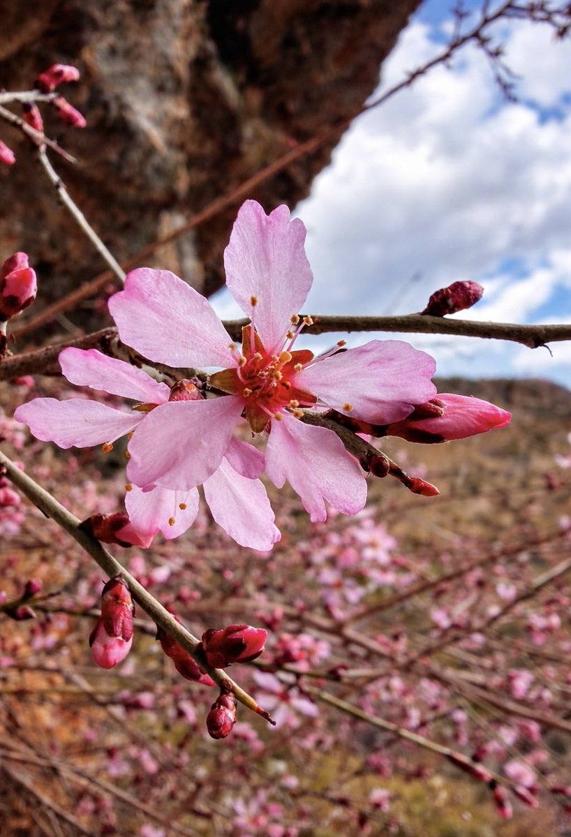 Bülent Özbilgiç tweet media