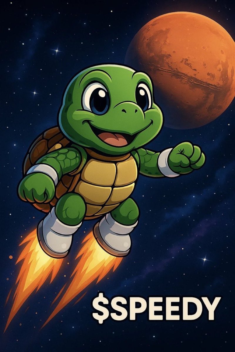 SPEEDY 🐢 tweet media