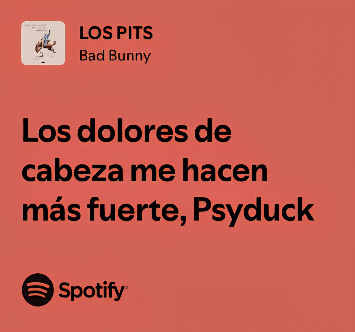 Feli 💤 tweet media