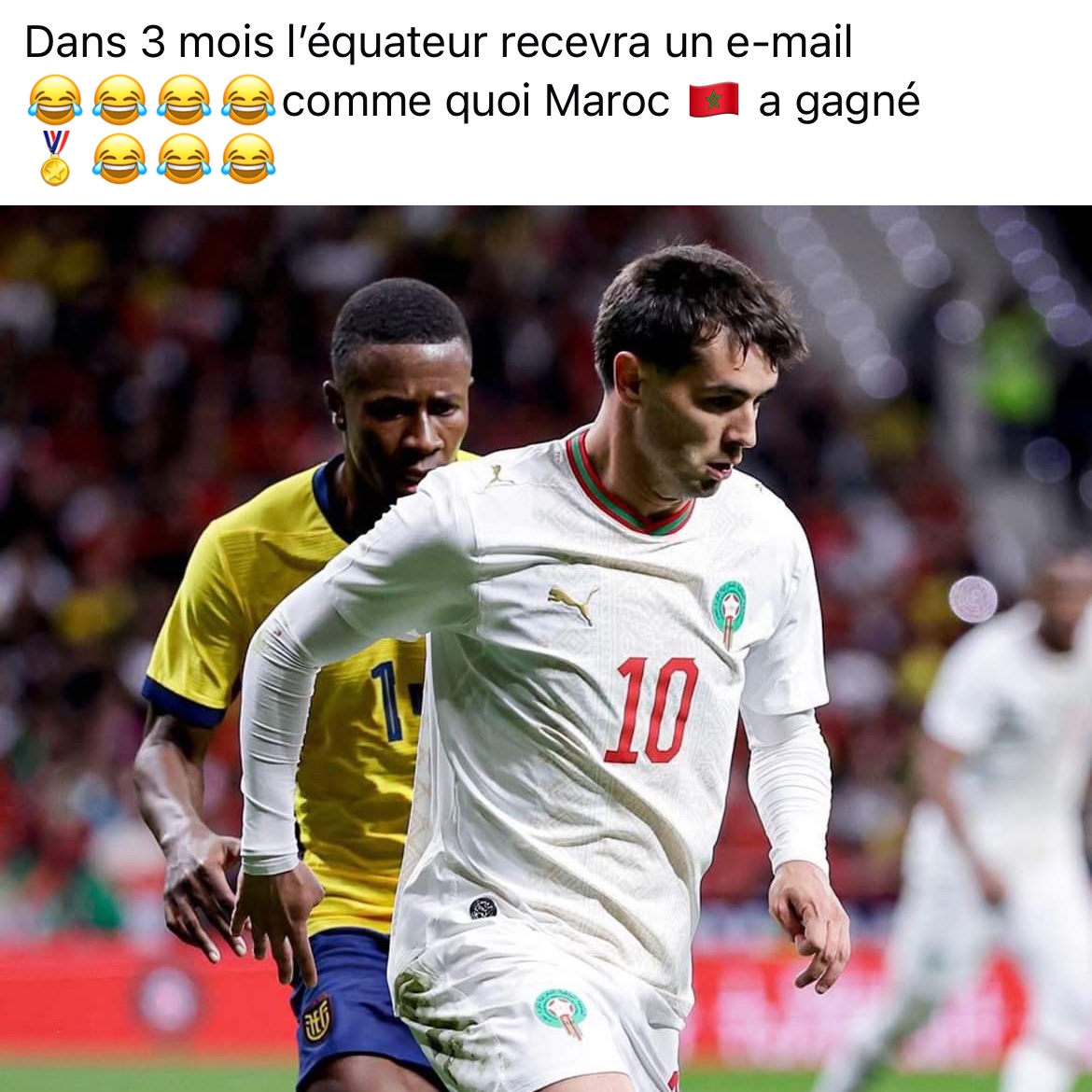 L@Jeblia tweet media