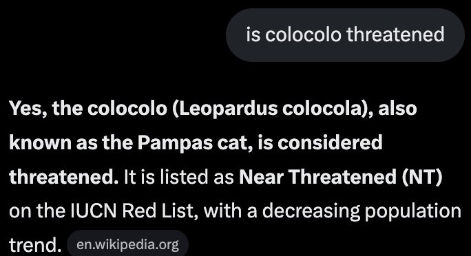 Hussayn 🧑‍💻 tweet media